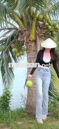 Hàng thơm, 500m2 đất vườn 14x 31m , nở hậu 18m, chỉ 650tr