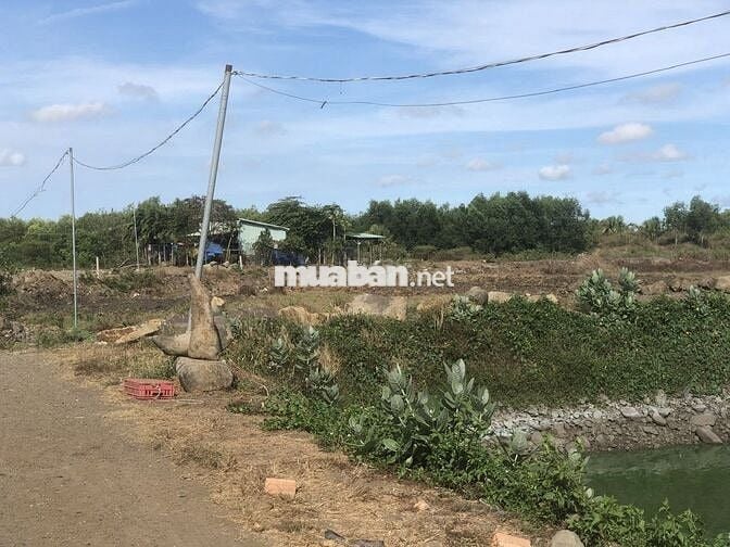 Đất vườn 2,6 ha tại xã Đất Đỏ, TP HCM