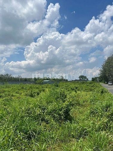 CTY ĐẤU GIÁ HỢP DANH TRỰC TUYẾN VIỆT NAM (VNOA) TỔ CHỨC ĐẤU GIÁ