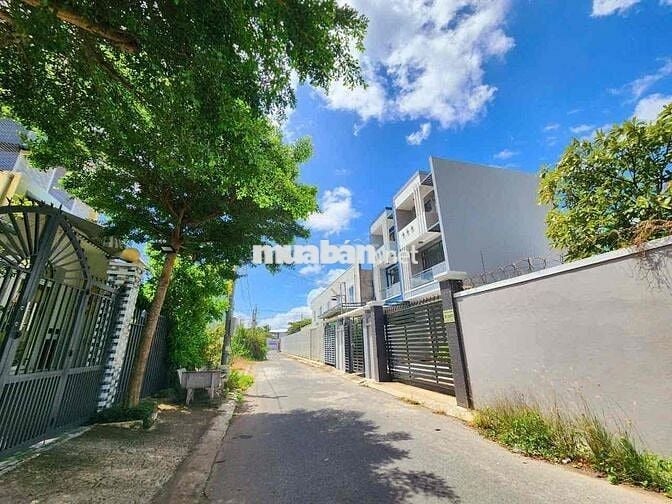 Đất ở đô thị - Phường Tân Hạnh