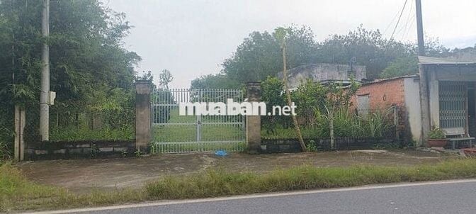 Bán 3977m2 Phú Mỹ Hưng, Củ Chi thửa 959