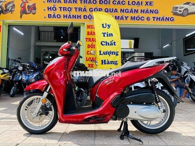 SH 300 bản chữ T báo nhiệt nhập ý xe đẹp chuẩn🇮🇹