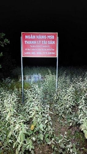 Công ty đấu giá hợp danh Sao Việt