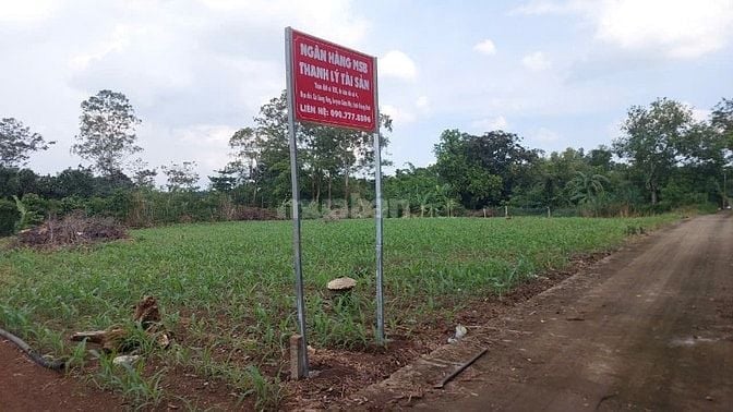 Công ty đấu giá hợp danh Sao Việt