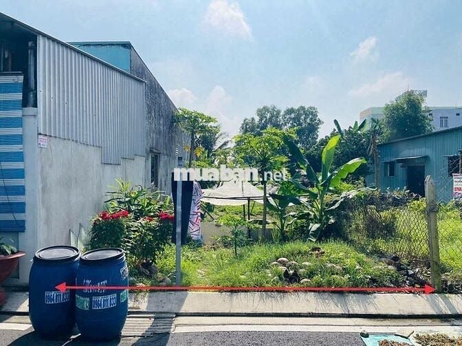 ĐẤT MT ĐƯỜNG TT CỦ CHI 338M2 FULL TC SHR CHỦ NGỘP BÁN GẤP 830TR CÒN TL