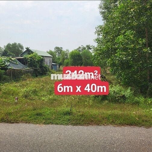 Bán đất xây trọ sát kcn Đất Đỏ, mặt tiền 6m cách biển Lộc An 4km