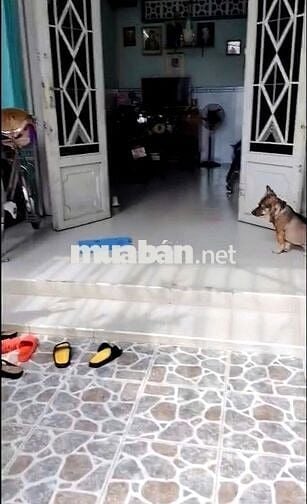 Bán gấp nhà SHR 4m*24m, gần ngã 4 Trung Chánh, Bà Điểm - Hóc Môn