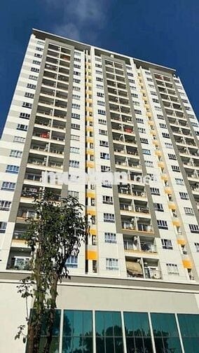 - Cần bán căn hộ Moonlight Đặng Văn Bi,
- Căn hộ 2PN 1WC