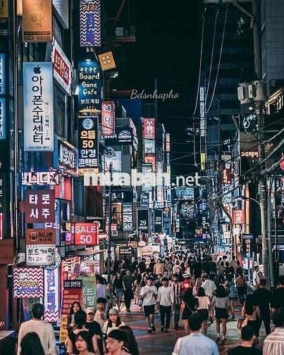 🇻🇳CHO THUÊ MẶT BẰNG CHỢ HÀN, VỊ TRÍ VÀNG