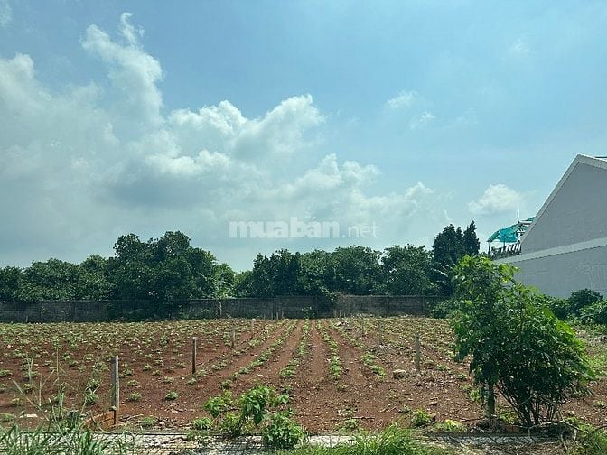 CÔNG TY ĐẤU GIÁ HỢP DANH MINH PHÁP THÔNG BÁO ĐẤU GIÁ TÀI SẢN