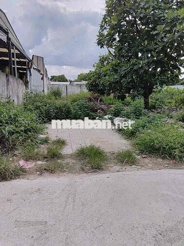 Đất Hưng Định Thuận An cũ Ngay sau nhà Thờ Búng đường 4m 6x34 thổ 120m