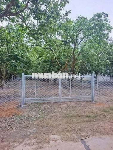 Cần bán mảnh vườn đẹp, không khí trong lành, vị trí cực kỳ tiềm năng