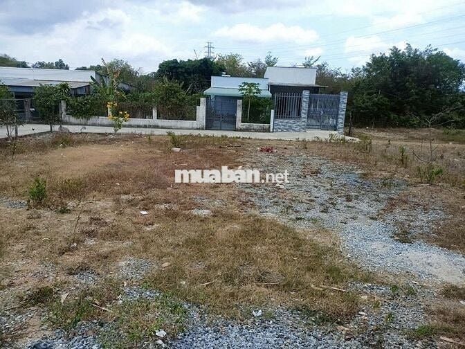 BÁN ĐẤT Chính Chủ 250m2 1ty799 TL SỔ SẴN SANG TÊN CÔNG CHỨNG NGAY