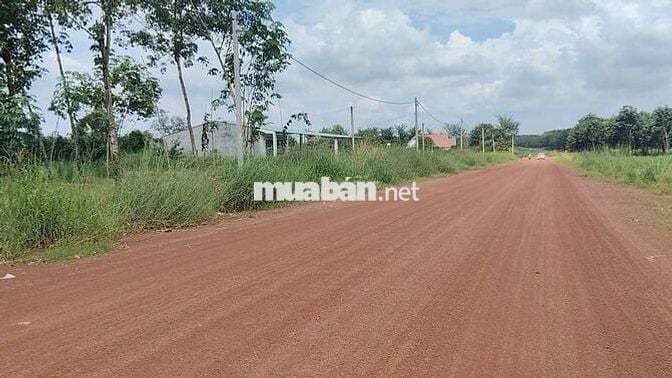 10 Nền MT đường 32 Liên xã,cách QL14 chỉ 300m, đối diện trường TTHC