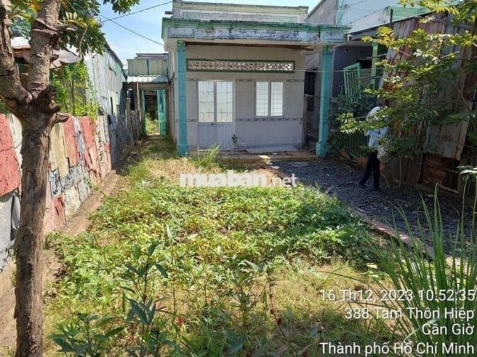 Bán nhà cấp 4 mặt tiền đường rộng 30m, khu dân cư hiện hữu