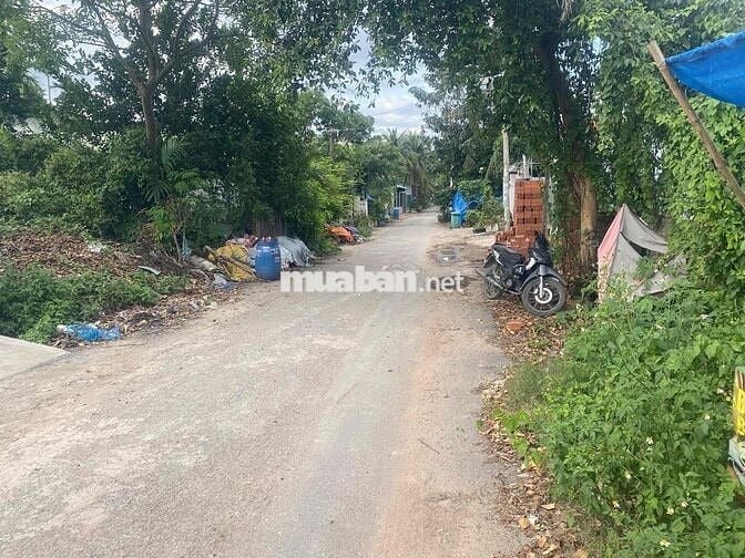 chính chủ bán nhà xưởng nhi Bình (5x50 ) fun thổ giá 5 ty 7