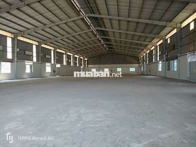 Cho thuê nhà xưởng 3000m Thuận An