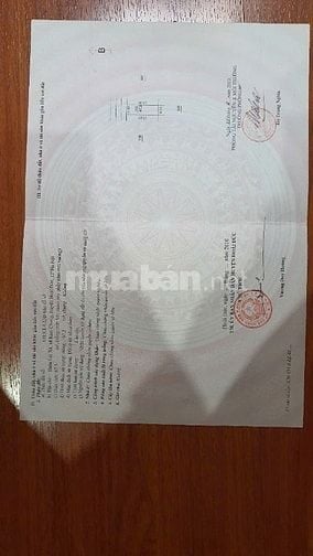 Cần bán ô đất KL 31 sổ đỏ chính chủ 