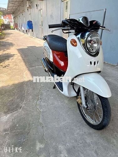 Cần mua vison giấy khu vực Long Xuyên An Giang