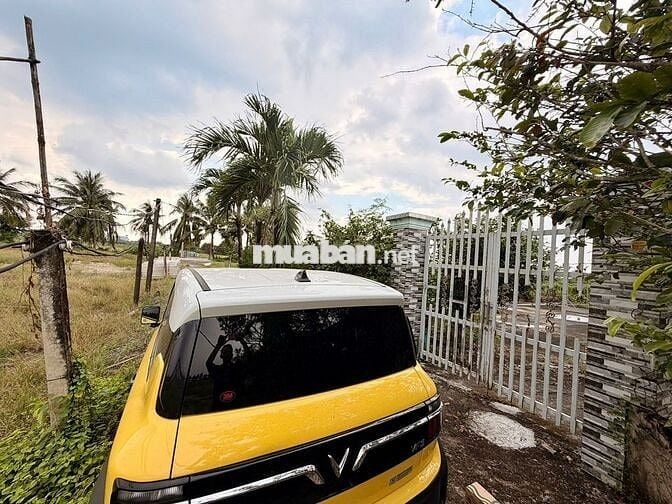 Đầu tư siêu phẩm đất vườn Châu Thành – Tiềm năng tăng giá cao