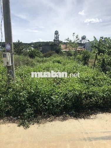 Đất sổ đỏ 137m2, Đà Lâm, Đà Loan, Đức Trọng, Lâm Đồng