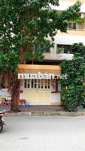 CHO THUÊ SHOPHOUSE MINI gần góc mt Ni Sư Huỳnh Liên Tân Bình