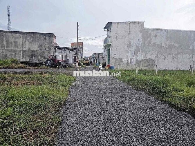 Chính Chủ Gửi Bán Gấp Lô Đất Bình Tiền 2 Đức Hoà Hạ