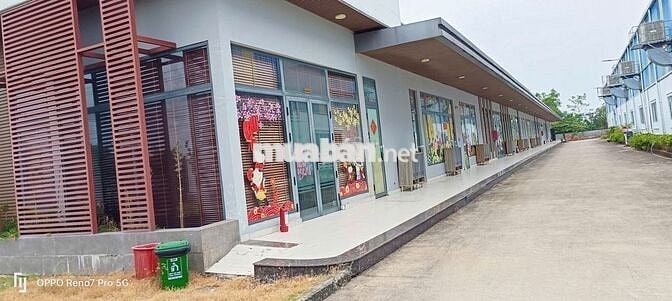 Bán kho xưởng 21.600m2, KCN Đức Hòa , Long An (Tây Ninh), PCCC tự động