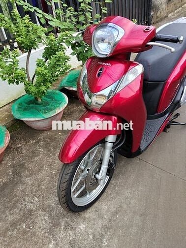 Sh mode bằng tiền vison