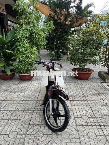 bán Dream thái nhập đời 1994,bstp,bao tranh chấp