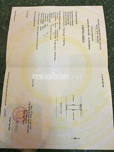 Khu đồng dộc thủy nguyên ( ngay ngã tư núi đèo cũ ) 