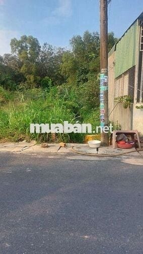 Chủ bán đất/quốc lộ 13 Tân Định - Bến Cát cũ , đường nhựa 7m thông