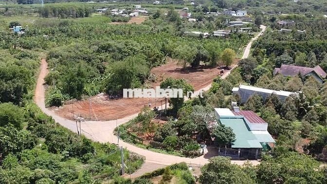 🏡 GIÁ RẺ BẤT NGỜ: 500TR CÓ NGAY NỀN ĐẸP 100–170M², SỔ RIÊNG, GẦN KCN!