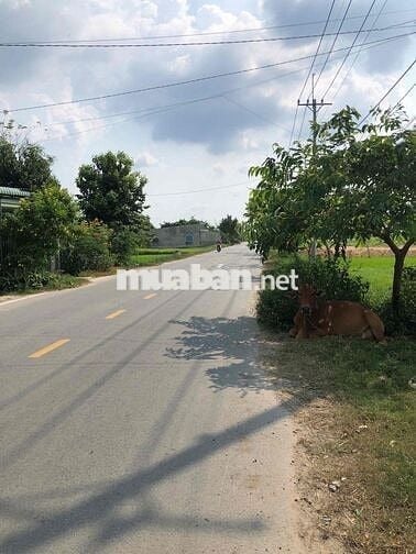 3,65ty cho lô Đất MT nhựa 8m sau chợ Xuân Thới Thượng 2/ Phan Văn Hớn