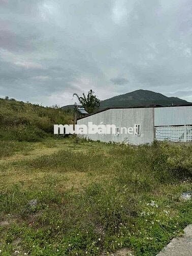 Đất chính chủ gần chợ Phi Nôm 137m vuong