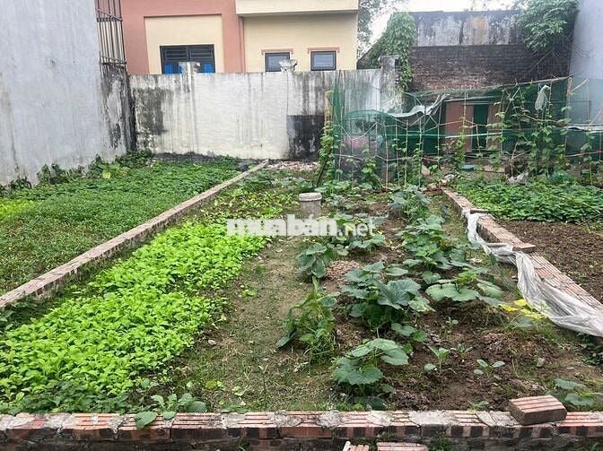 👉 HIẾM – ĐẤT VUÔNG 46.8m2 Thôn Đông Bầu Thiên Lộc, Đông Anh – 3.8 Tỷ