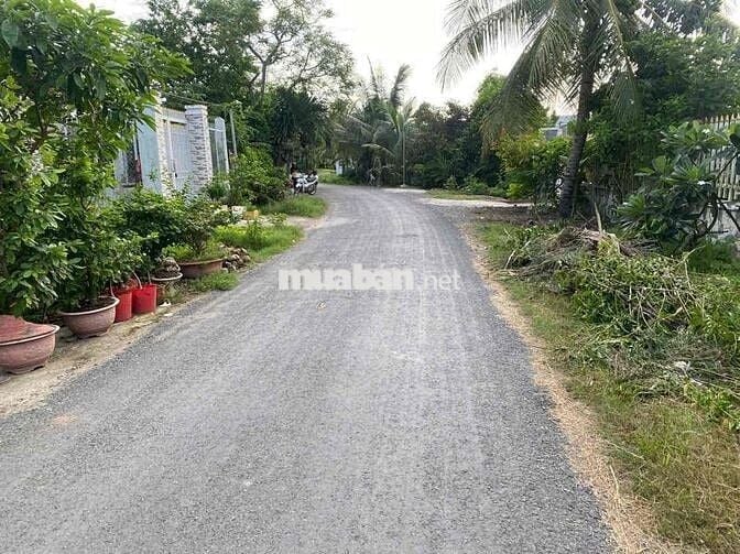 🌸 BÁN ĐẤT NỞ HẬU - HƯỚNG ĐÔNG NAM CỰC ĐẸP TẠI ẤP 2, XÃ THỦ THỪA - TÂY