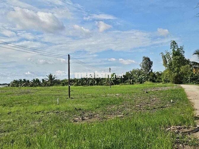 Cần bán 1015m2 đất p Vĩnh Thông lộ đan 3.5m