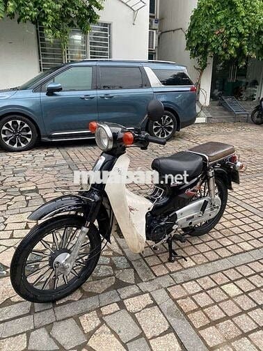 Xe cup 50cc