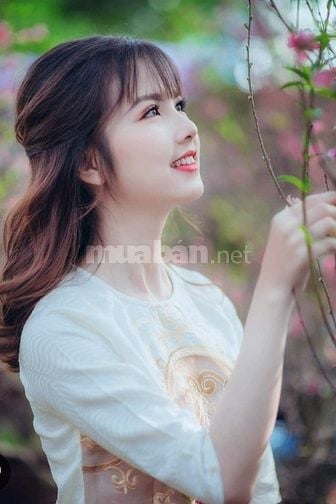 Bổ sung nhân viên LĐPT bán hàng, đóng gói hàng, dịp Lễ Noel và Tết 