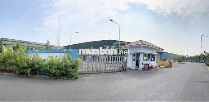 CHO  THUÊ  KHO  XƯỞNG ( 6000 m2) KCN. NHỊ XUÂN,  HUYỆN  HÓC  MÔN