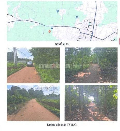 BÁN ĐẤU GIÁ TS MSB L3_TT NGÃI GIAO, CHÂU ĐỨC, BR-VT, NAY LÀ TPHCM