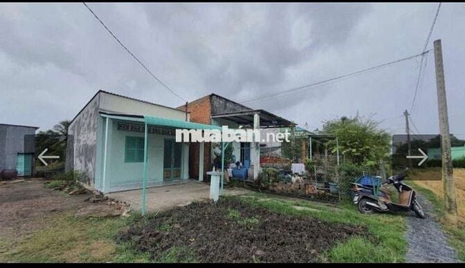 346M Đất ở Nông Thôn - Hưng Long-BC- 15x23-1.55Ty- Tặng Nhà C4