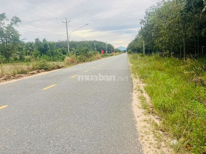 Mặt tiền DT749B chỉ 750 triệu sở hữu ngay