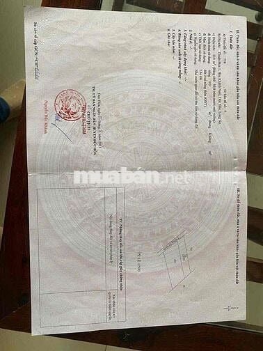 cam kết rẻ nhất thị trường do mua đất 2011