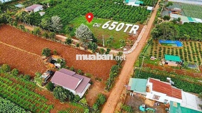 🏡 BÁN ĐẤT ĐẸP TẠI XÃ TÂN HỘI, ĐỨC TRỌNG – LÂM ĐỒNG (Trước là N’Thon Hạ