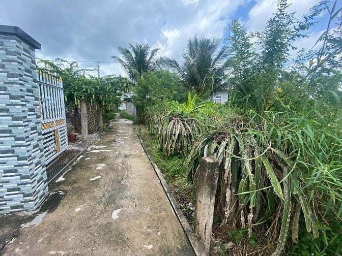 Công ty Đấu giá hợp danh Sao Việt 