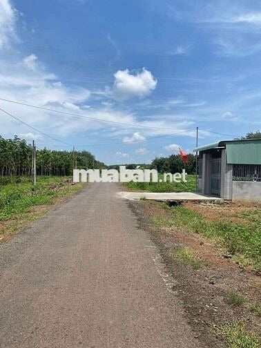 Bán đất thổ cư cách q14 1km có sổ sẵn