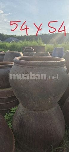 chậu gốm cây cảnh trồng sân vườn, văn phòng