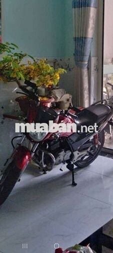 Honda Thể thao Đỏ